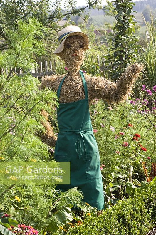 Scarecrow from straw gardener's apron in cottage garden