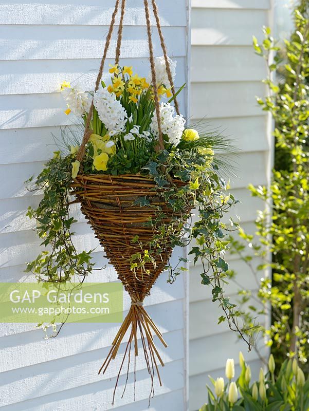 suspended Homemade basket of spring flowers for hanging baskets