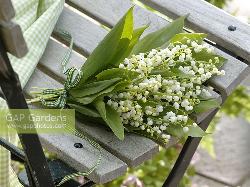 Small bouquet of Convallaria majalis ( lily of the valley )