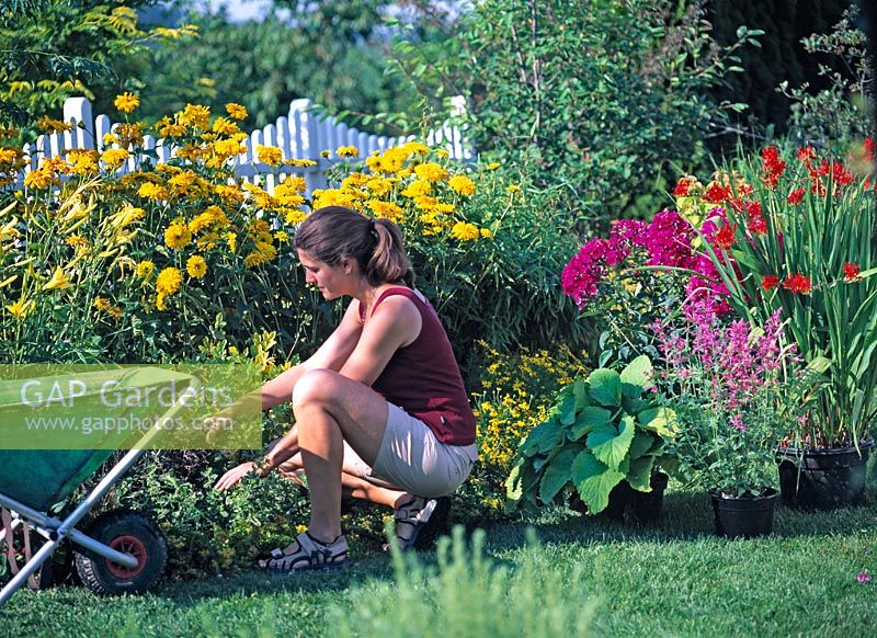 Yellow flower bed with colorful perennials spice 2/7