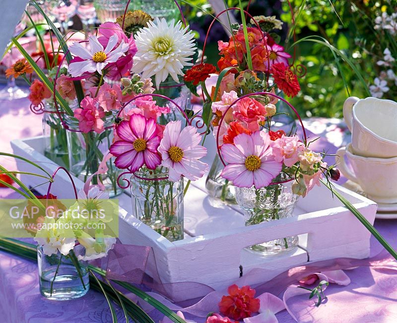 Summer flowers Table decoration: Small bunches of Cosmos ( Cosmos ), Dahlia