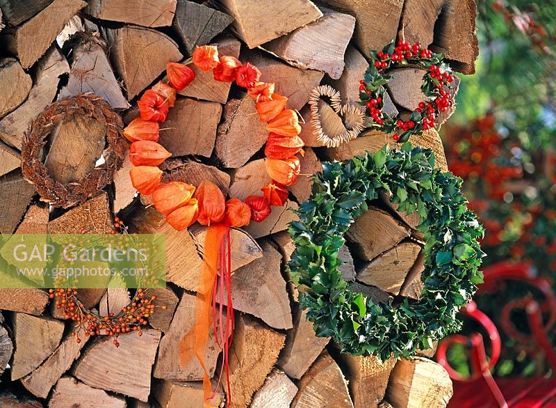 Wreaths of Physalis ( lantern ), Ilex ( Holly, Red Winter Berry )
