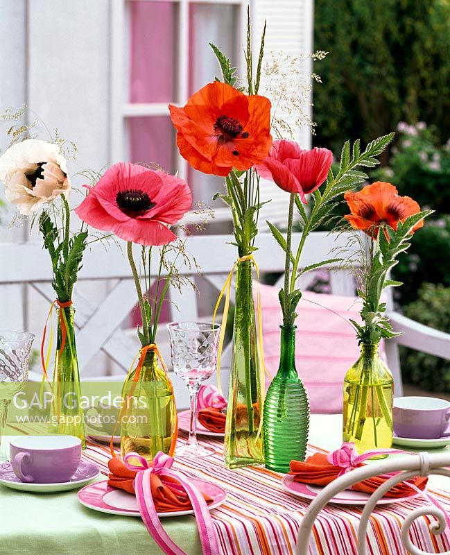 Papaver ( poppy ) with grasses in glass bottles on laid table