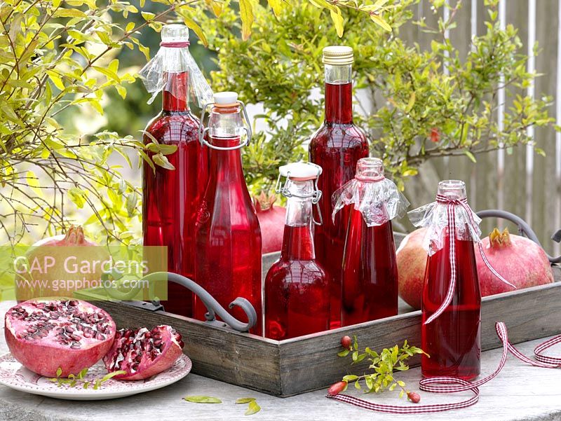 Home-made juice - syrup from pomegranate ( Punica ) bottled