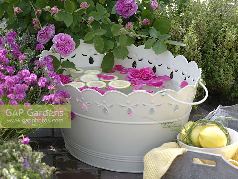 White metal tub with rose petals and lemon slices for a foot bath