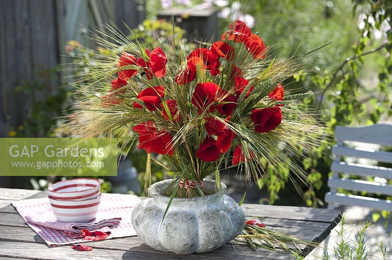 Standing bouquet of Papaver rhoeas ( Poppy ) and barley ( Hordeum )
