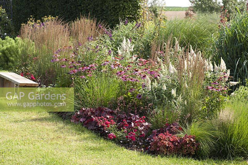 Summer bed with perennials and grasses