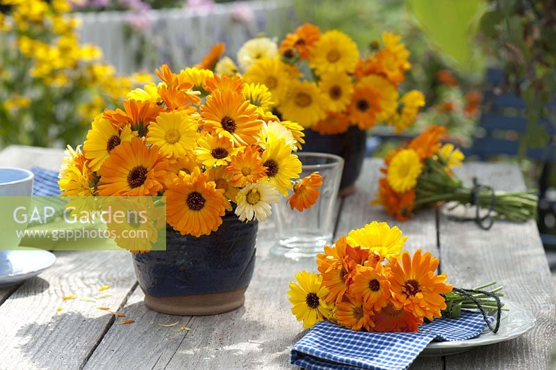 Bouquets of calendula ( marigold ) in blue pots and as