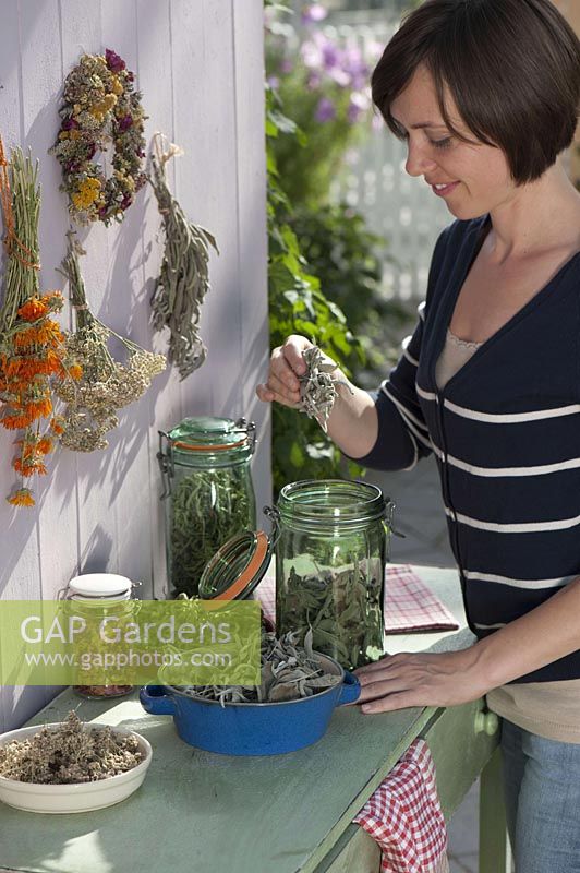 Prepare dried tea herbs and fill in cans and jars