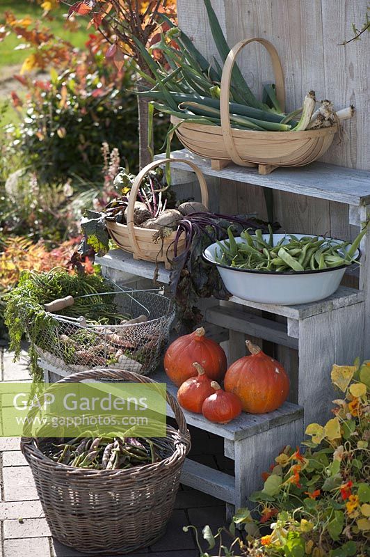 Baskets with vegetables - harvest from the garden