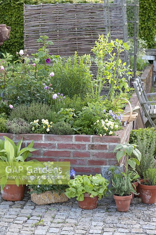Brick raised bed with herbs