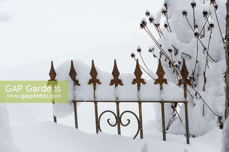 Schmieder iron fence element and faded perennial thick snow in the winter garden