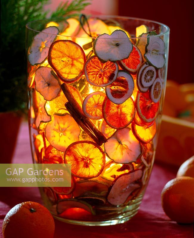 Glass with citrus - orange and lime slices, Malus - apple slices, Zimtstan
