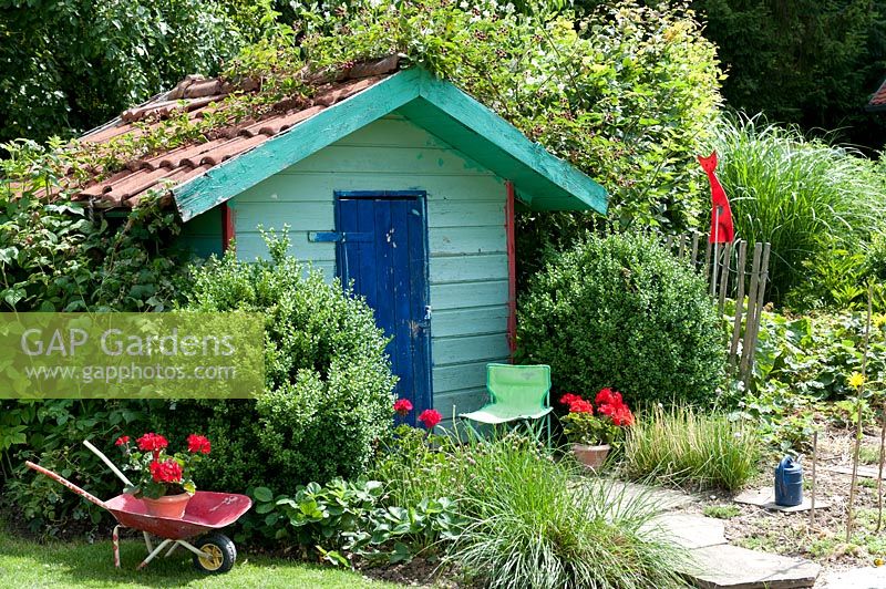 Small garden shed in turquoise with blue Tuere, Buxus ( Buchs )