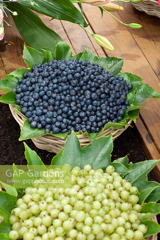 Blueberries in the basket