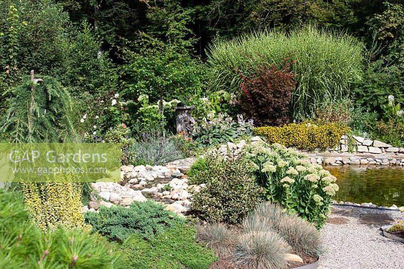 Pond with ornamental shrubs, perennials and grasses