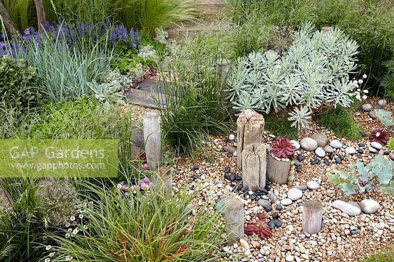 Rock garden with succulents and perennials