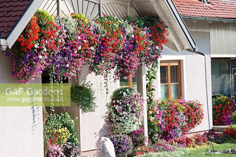 House entry with annuals