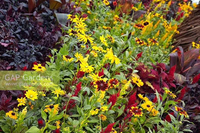 Garden design with annuals