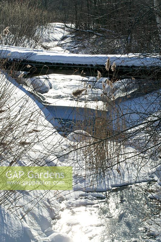 Winter landscape with frozen creek