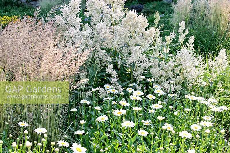 Plantborder with perennial and ornamental grass