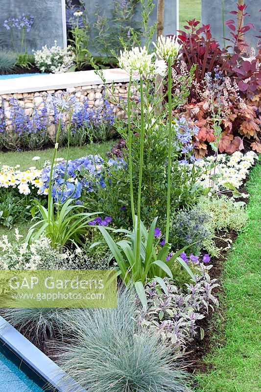 Plant border with perennials and ornamental grasses