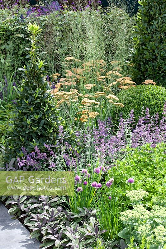 Plant border with perennials, ornamental grasses and shrubs