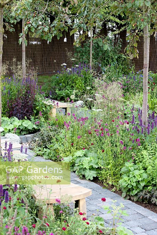 Perennial border in the summer with violet color tones