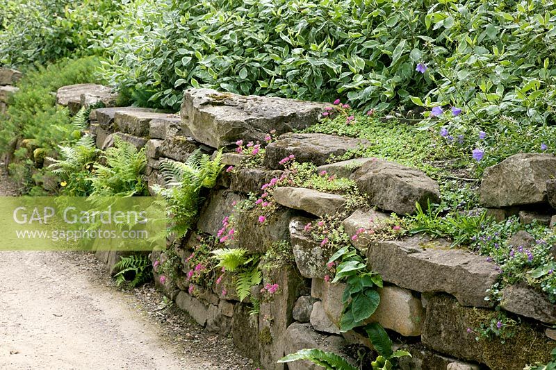 Natural stone wall with plants