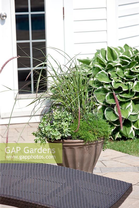 Plant container with perennials and ornamental grasses