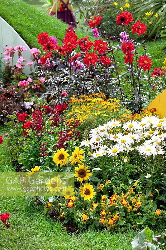 Plant border with annuals