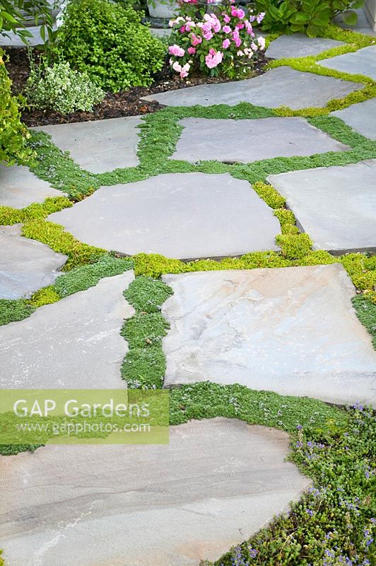 Natural stone terrace with ground covers used as gap fillers