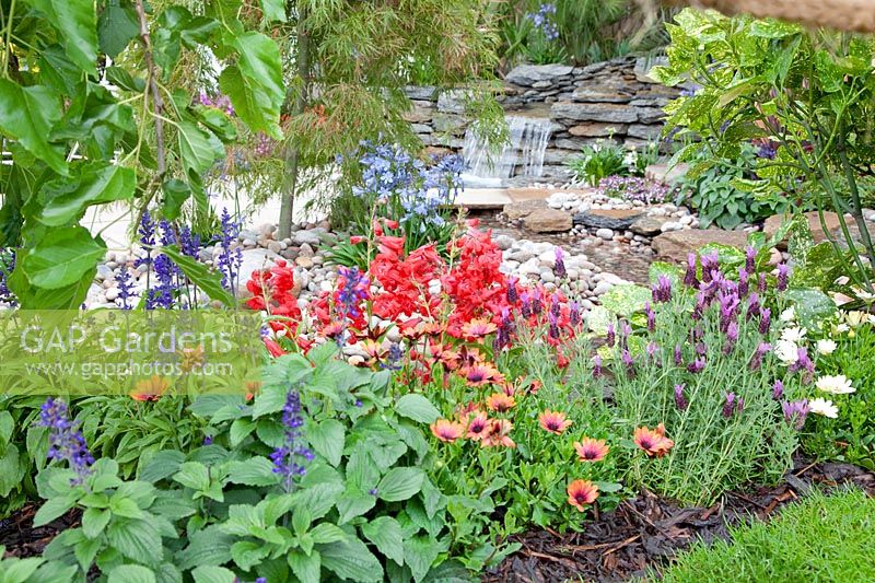Waterfall and pond with perennials, shrubs and annuals