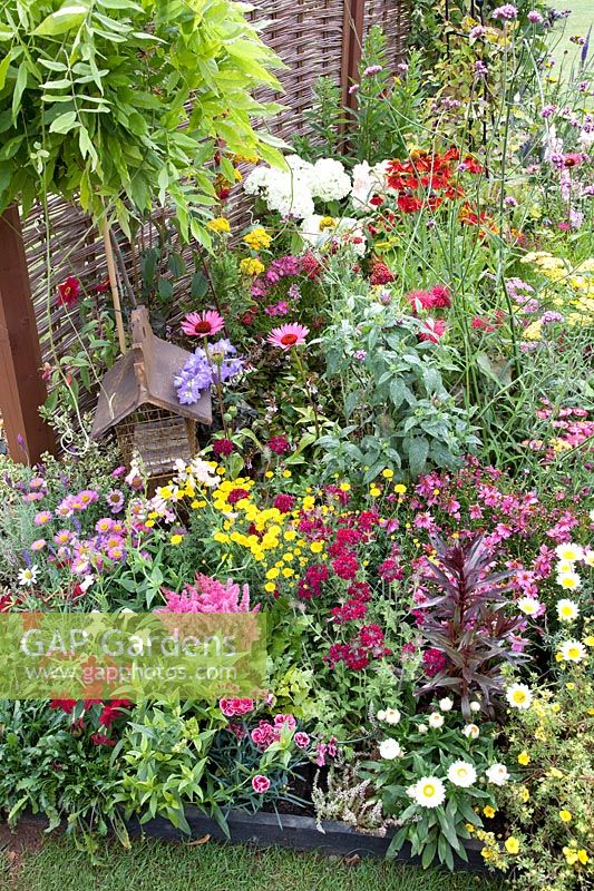 Plant border with Astilbe, Dianthus, Nicotiana, Bracteantha, Echinacea, Helenium and birdhouse
