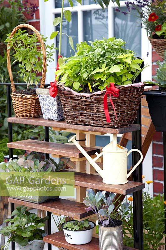 Recycling garden with herbs and vegetable