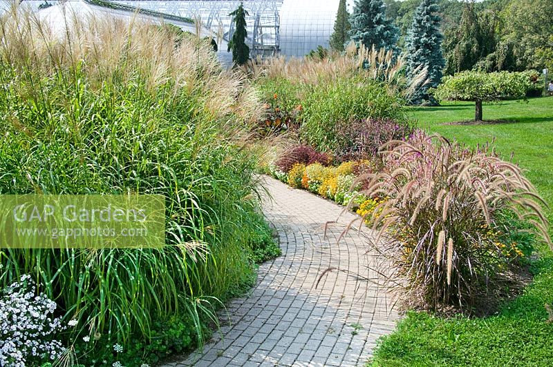 Walkway with grasses, perennials and annuals