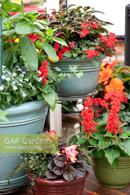 Planters with annuals 