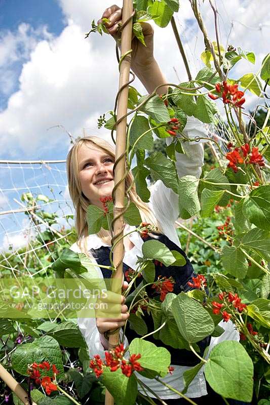 Girl in the vegetable garden with Phaseolus coccineus