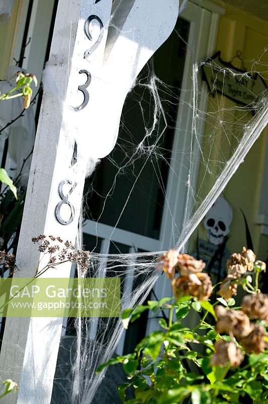 House Entry with Halloween decoration with spider web