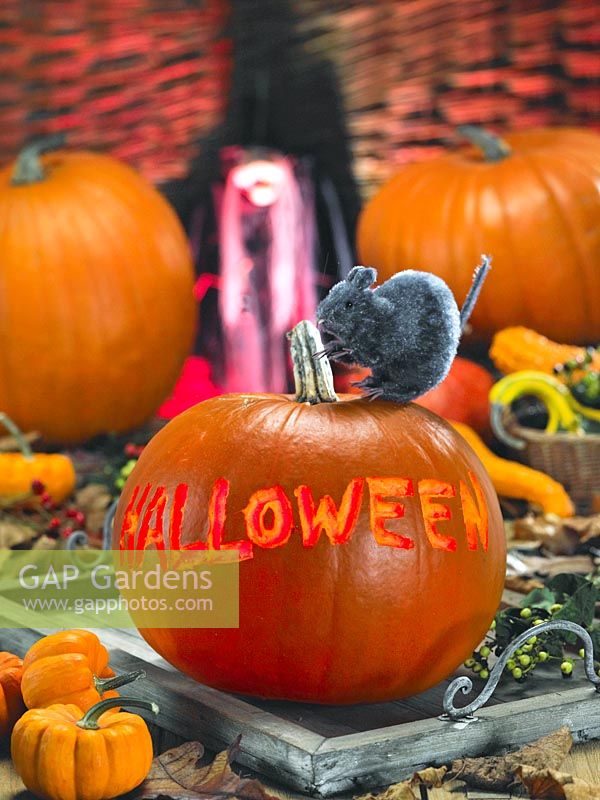 Halloween impression with carved pumpkin
