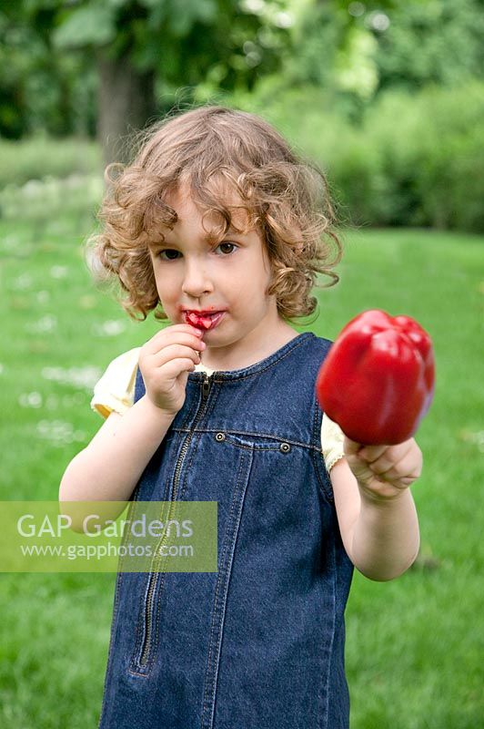 Little girl in the garden with strawberries and bell pepper
