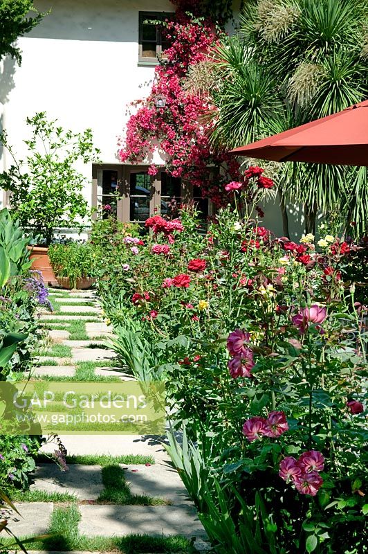 View into the garden with Rose borders, container plantings, Yucca and Bougainvillea