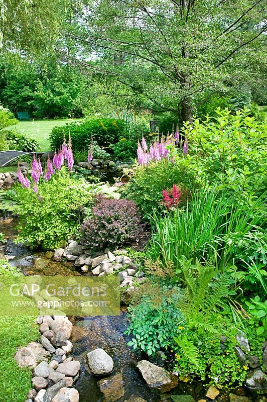 Gardenscene with little stream, perennial border and shrubs