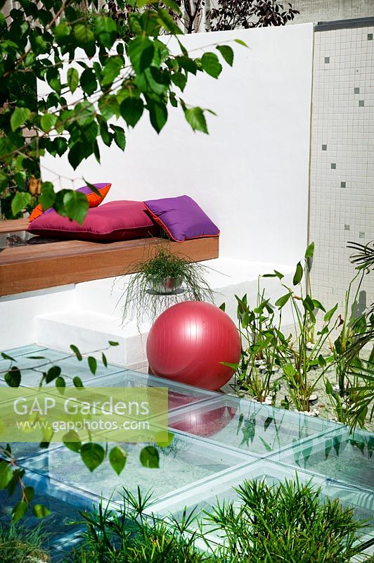 Contemporary garden scene with aquatic plants, red ball, stone steps and decorative pillows