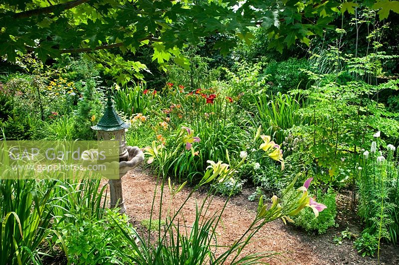 Perennial garden with Hemerocallis, Liatris and other perennials