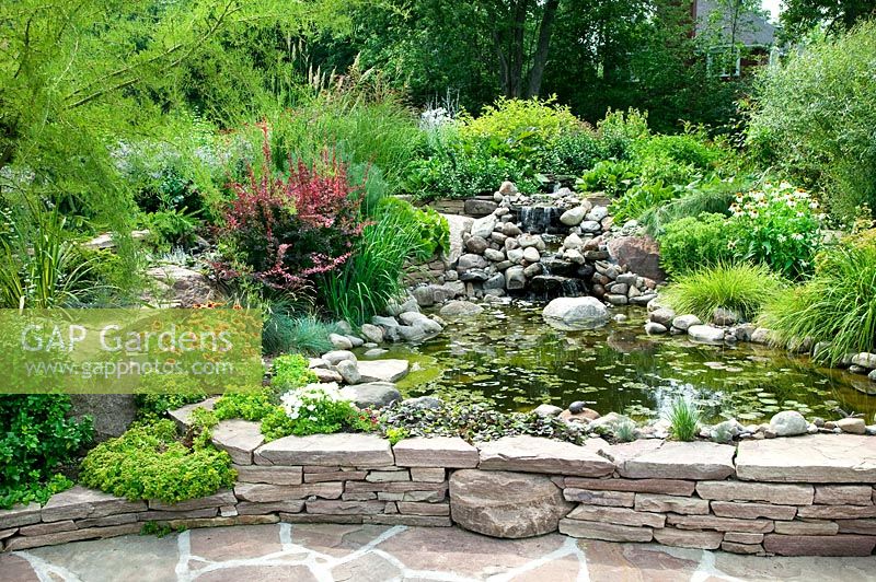 Pond with aquatic plants, perennials, shrubs, little waterfall