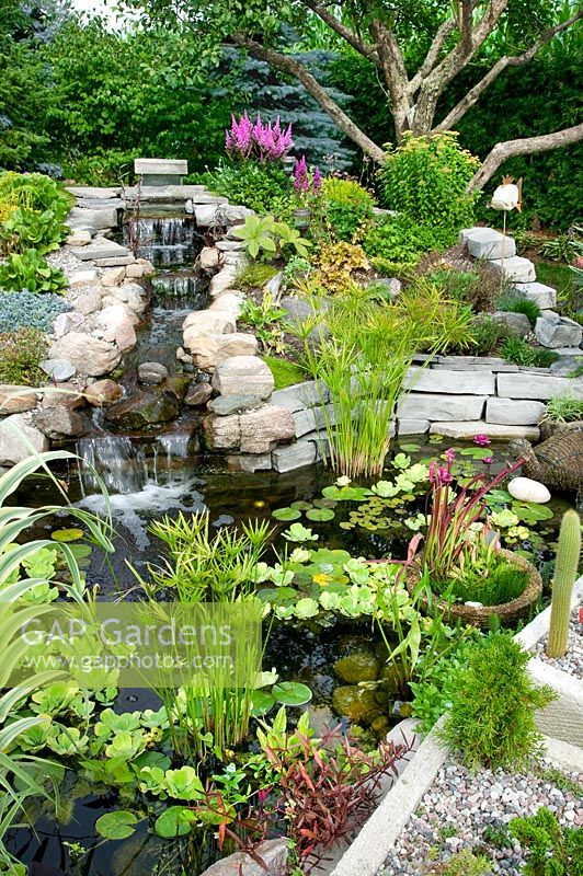 Pond with aquatic plants and waterfall, perennials and shrubs