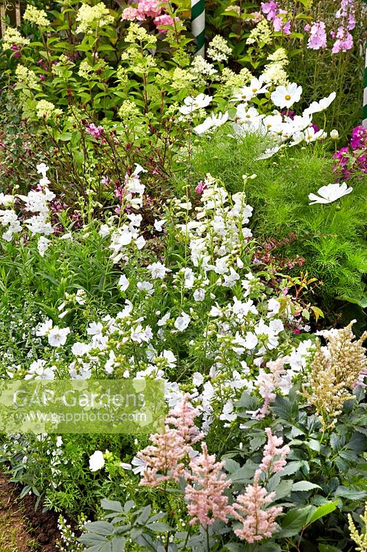 Perennials garden with white flowers