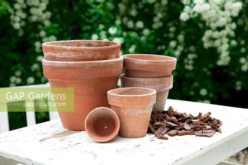 Clay pots with mulch