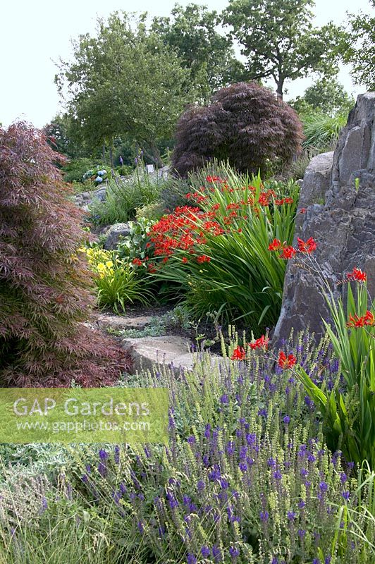 Rock garden with Acer, Crocosmia, Conifers, Hemerocallis, 